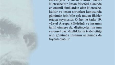 Nietzsche’nin Felsefesi ve Postmodernizm: Değerlerin Yeniden Değerlendirilmesi